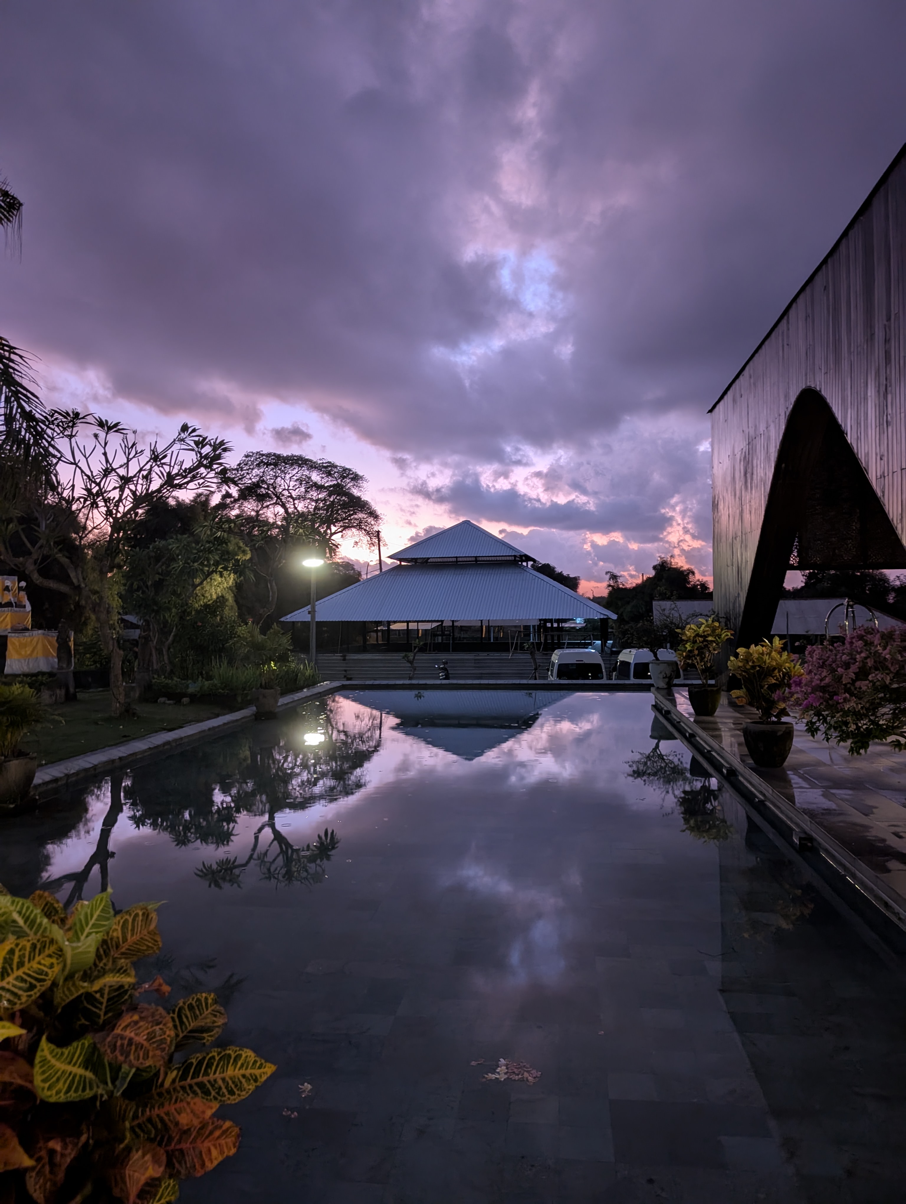 Bali - Rizières en terrasses